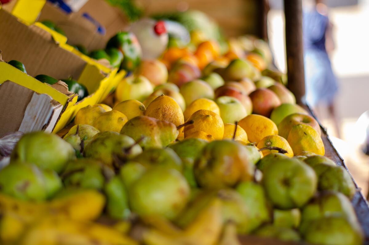  feira 