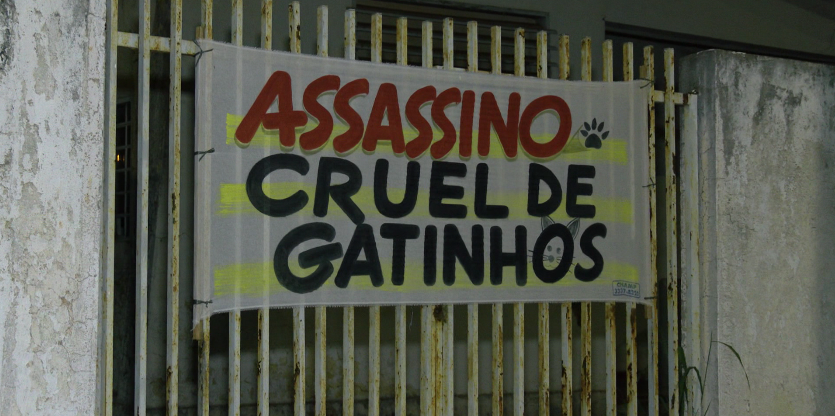  gatinhos-assassinatos 