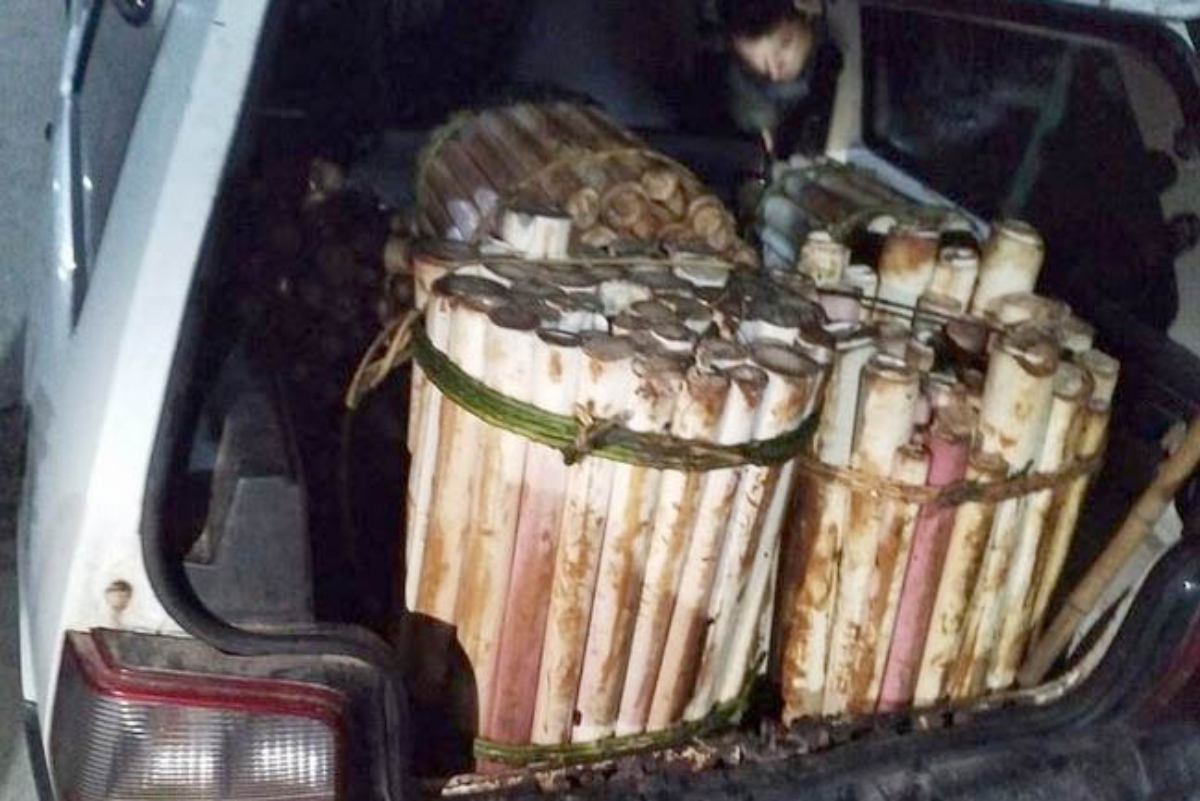  Após denúncia anônima suspeito de transporte de palmito ilegal é preso. Foto: Divulgação/Disque Denúncia 181 