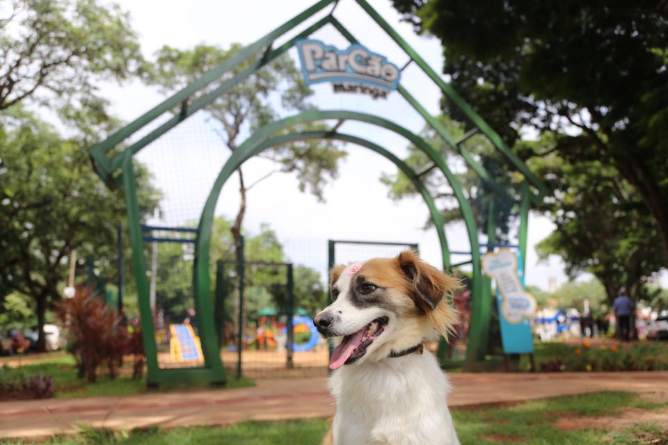  Inauguração Parcão 