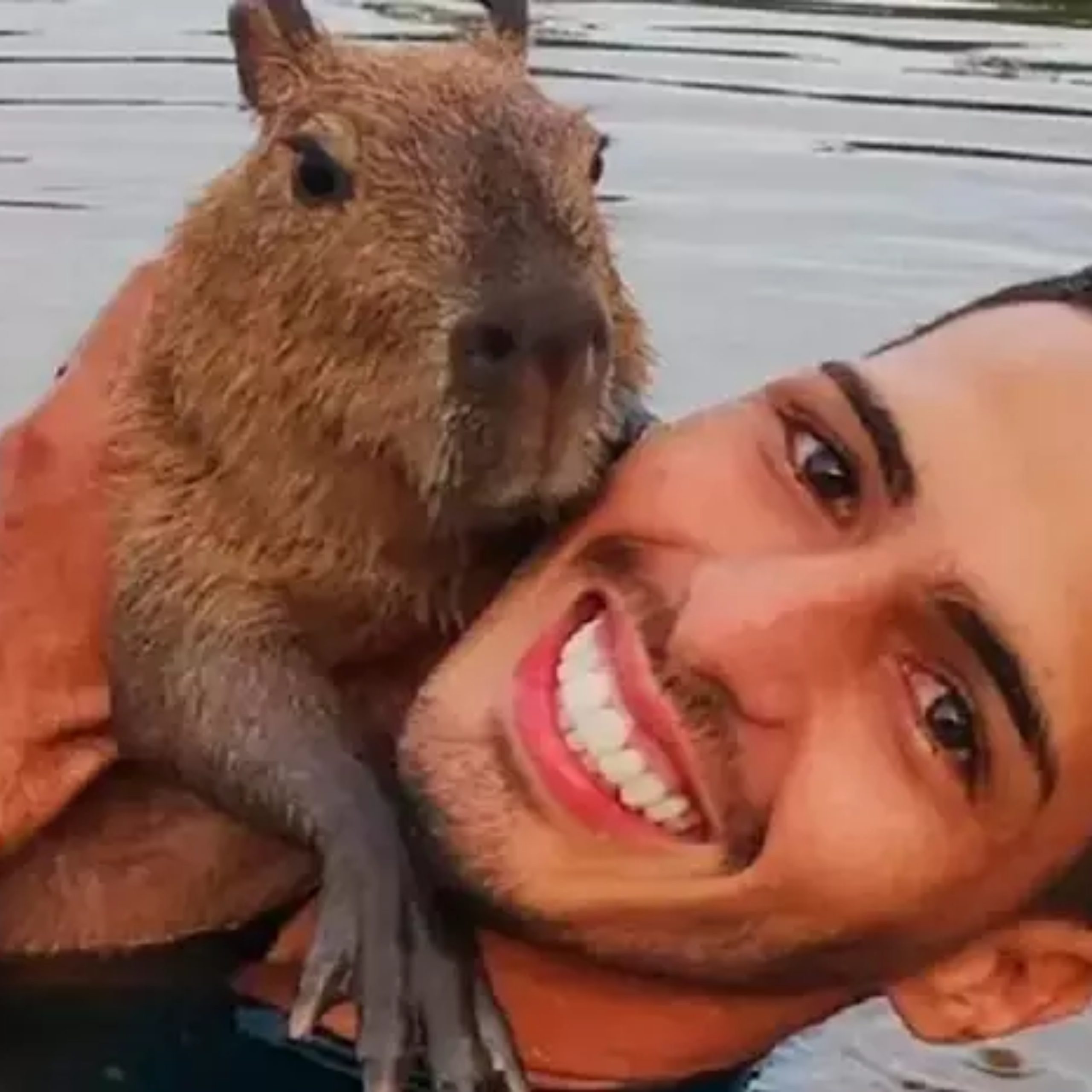  tiktoker Agenor Tupinambá e a capivara Filó 