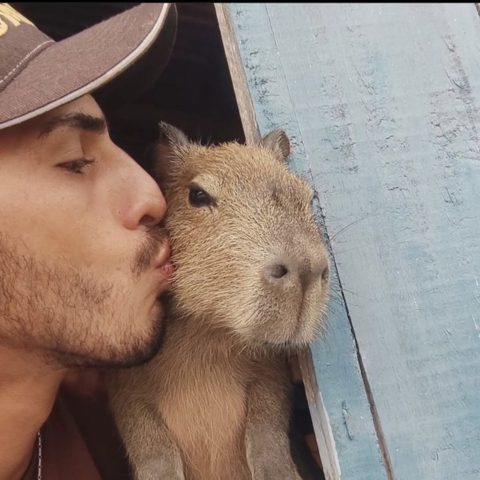 tiktoker Agenor Tupinambá e a capivara Filó