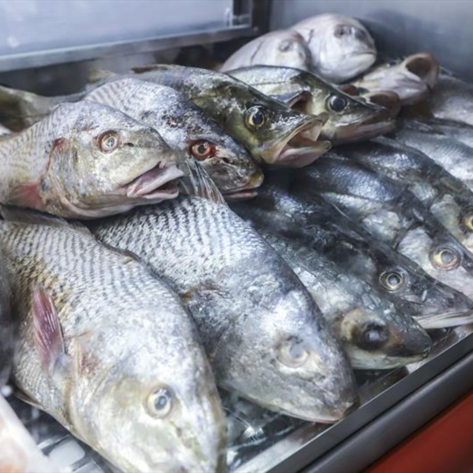  Além das 51 pontos das tradicionais feiras de Curitiba, Semana Santa terá mais 17 pontos extras de vendas de pescados na capital. (Foto: Hully Paiva/SMCS / Prefeitura de Curitiba) 