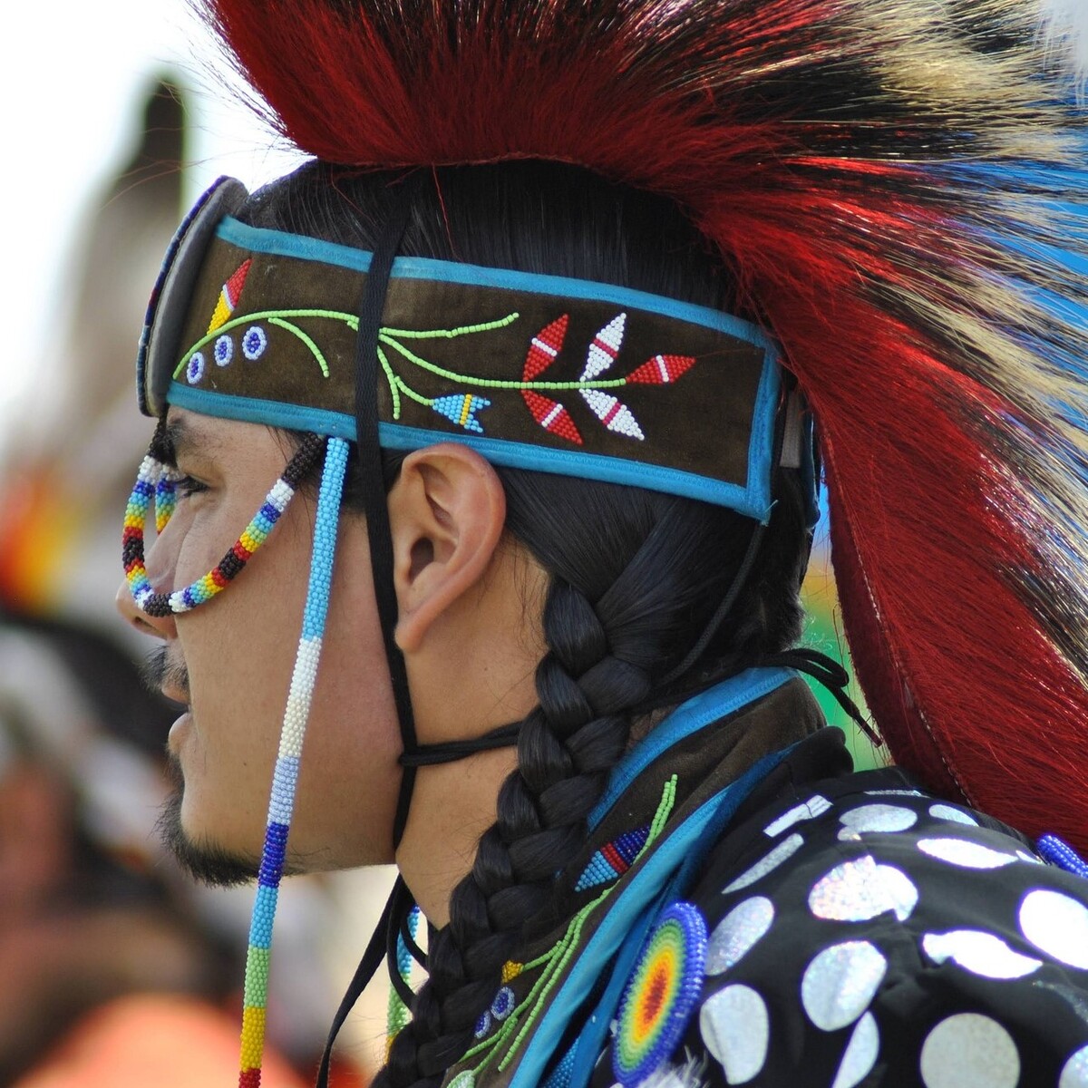  foto de indígena 