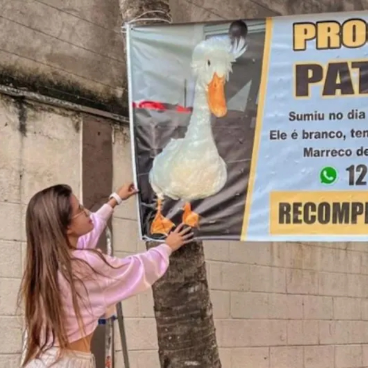  influencer-oferece-30-pato 