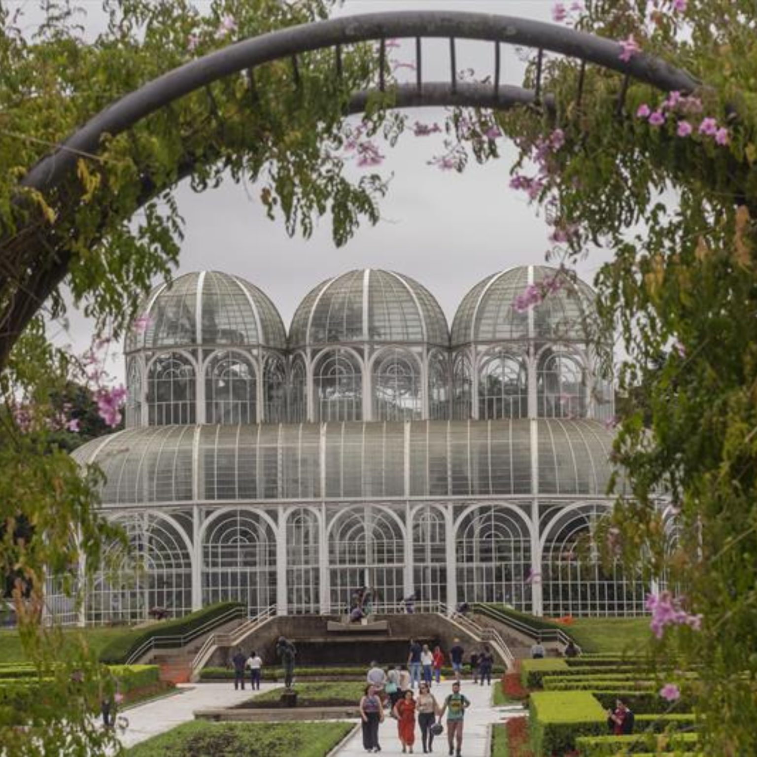  Estufa do Jardim Botânico de Curitiba será interditada para limpeza e manutenção. Foto: Ricardo Marajó/SMCS 