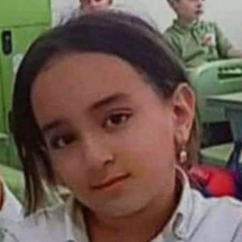 menina-7-anos-morre-eletrocutada-bebedouro