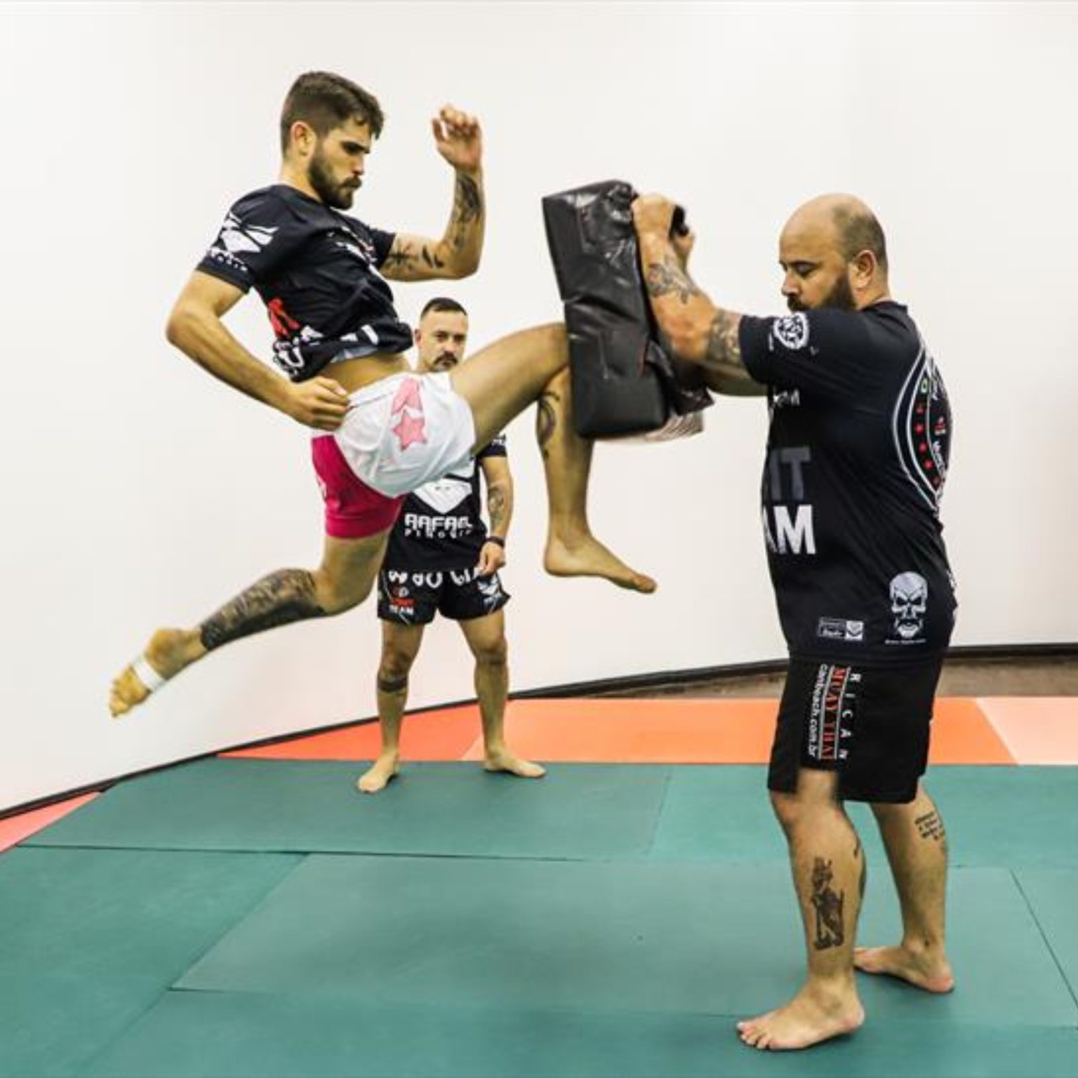  muay thai jiu jitsu 