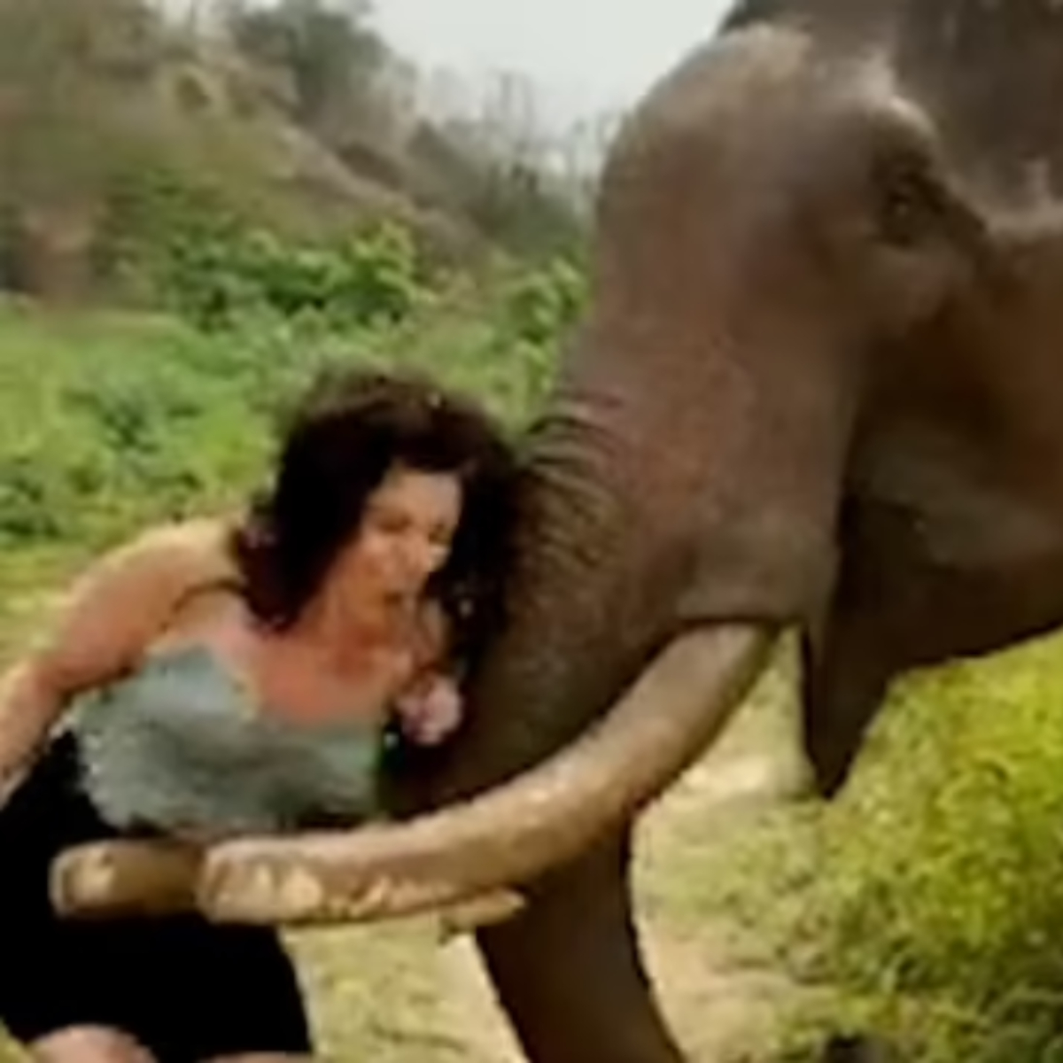  mulher-brinca-elefante-esmagada1 