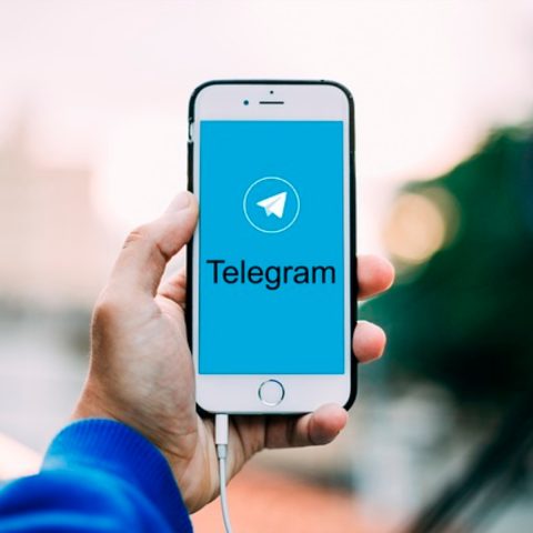 telegram-suspenso-brasil-dados