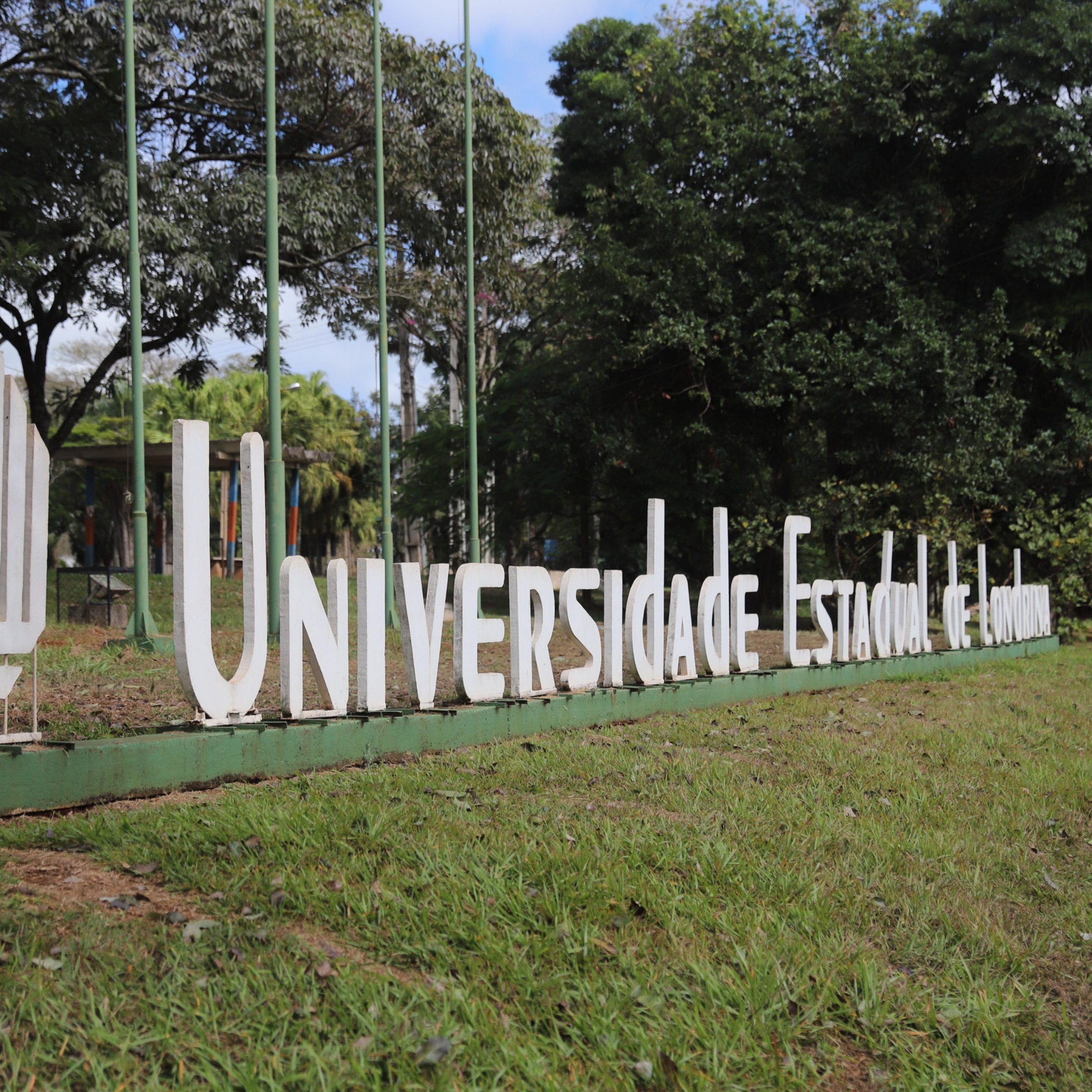  Univeridade Estadual de Londrina UEL 