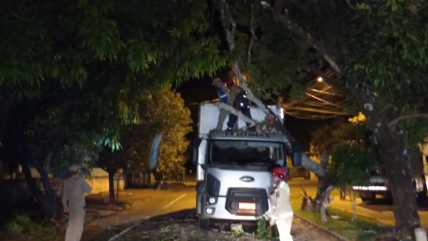 Caminhão baú é atingido por árvore de grande porte em Campo Mourão