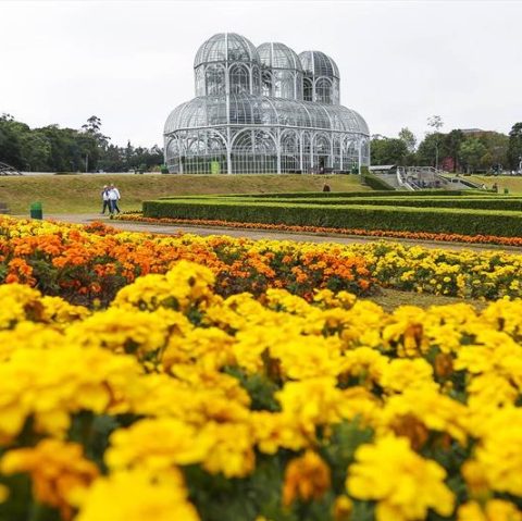 Em dia de coroação, estufa do Jardim Botânico recebe cores da bandeira britânica