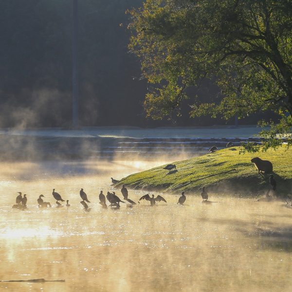 Paraná terá mínima de 6ºC neste domingo (14)