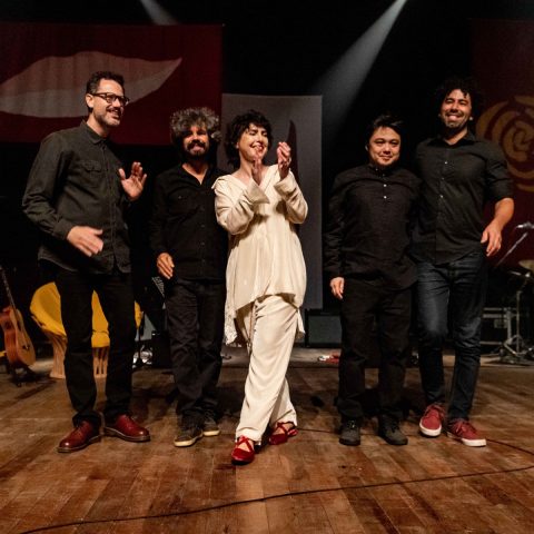 Adriana Calcanhotto chega em Curitiba nesta sexta (5) em show tributo a Gal Costa