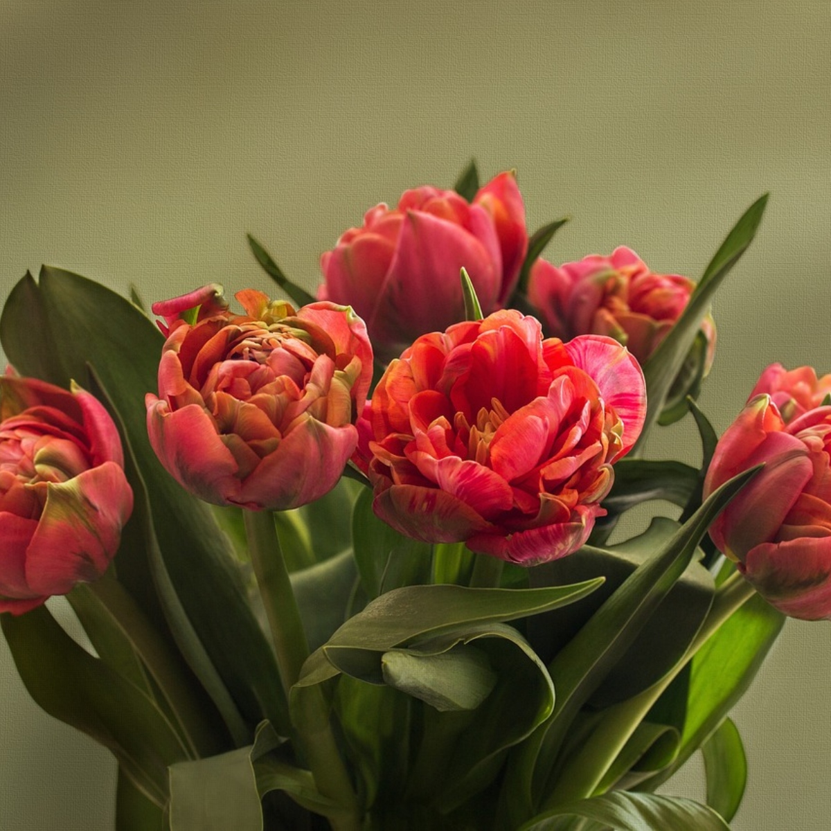  Dia das Mães: Onde comprar flores neste domingo em Londrina? 