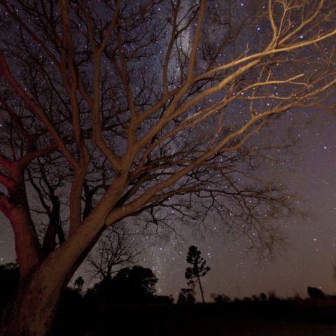 Caminhada Noturna Parque Vila Velha (1)