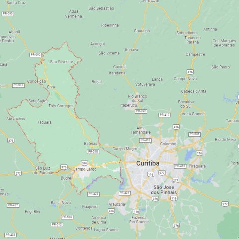 Prefeitura de Campo Largo oferece mais de 100 vagas de estágio; confira