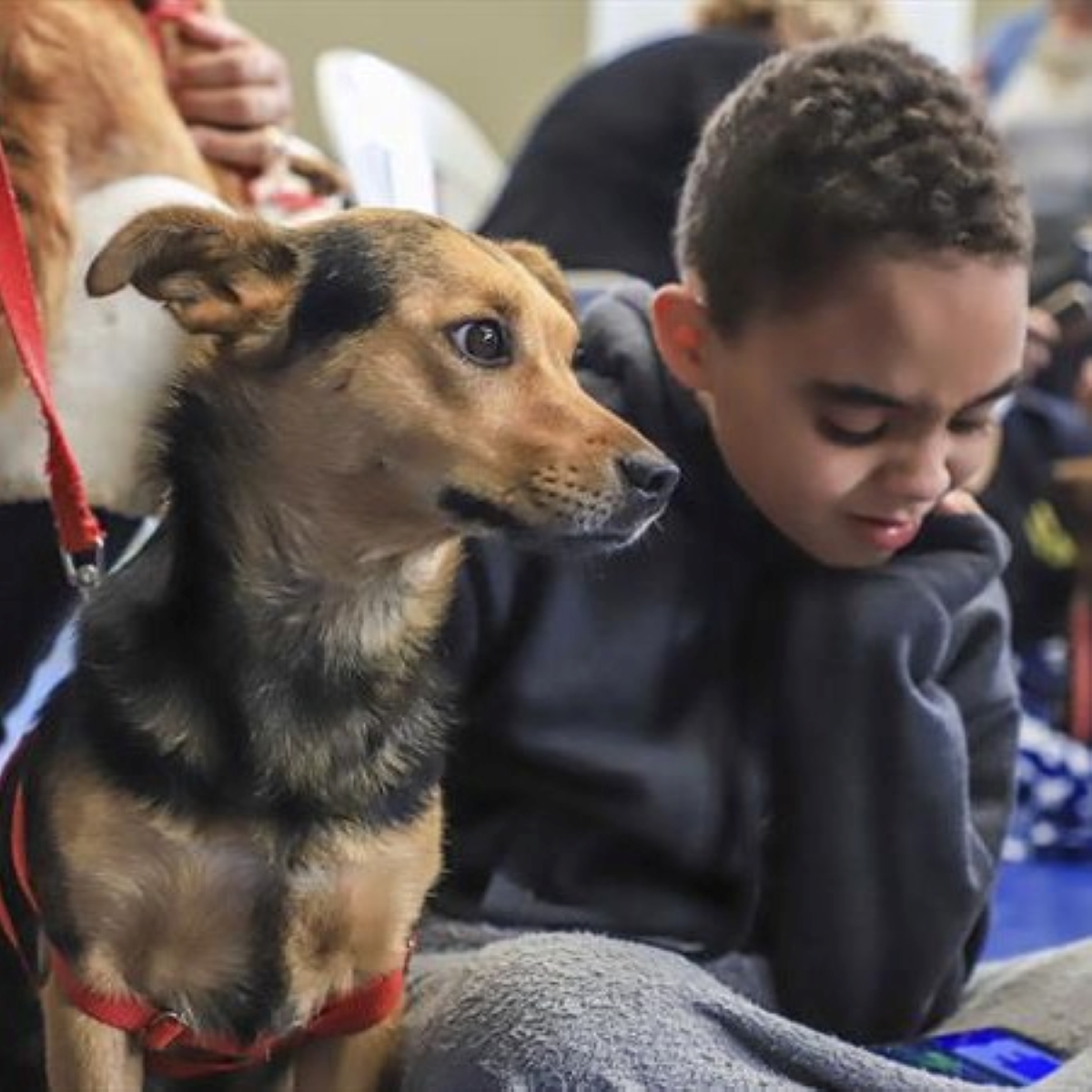  Mutirão vai liberar 4.8 mil vagas para castração de cães e gatos em Curitiba 