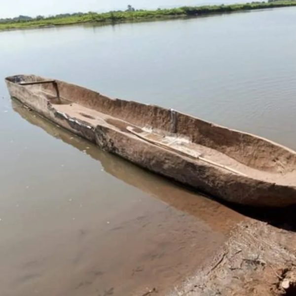 Hipopótamo vira barco em rio e 24 pessoas morrem após ataques de crocodilos