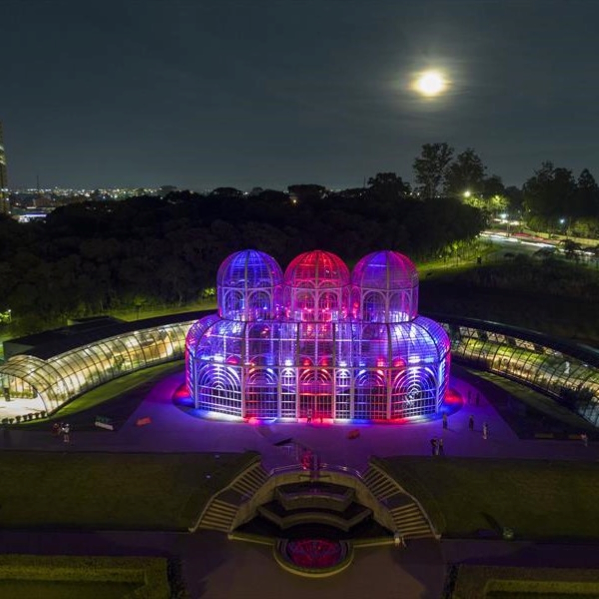  Em dia de coroação, estufa do Jardim Botânico recebe cores da bandeira britânica 