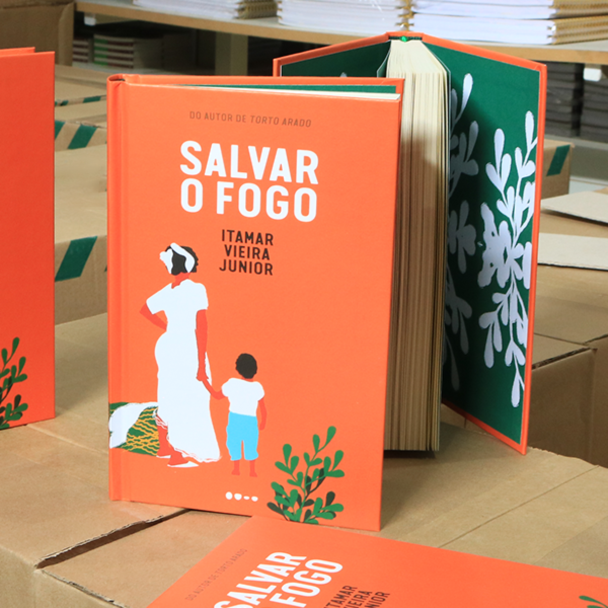  salvar-fogo-livro 