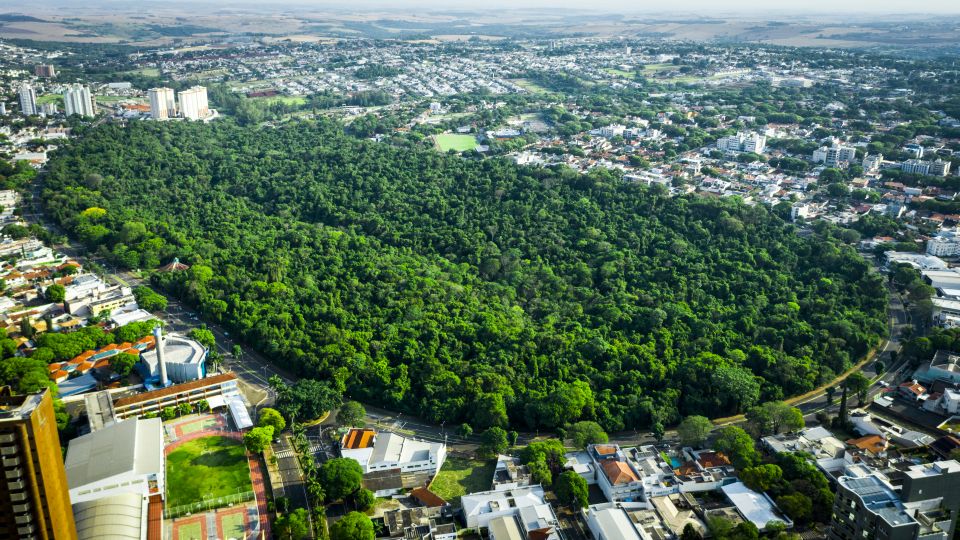 Parque do Ingá (Av. São Paulo) Foto: Arquivo/PMM