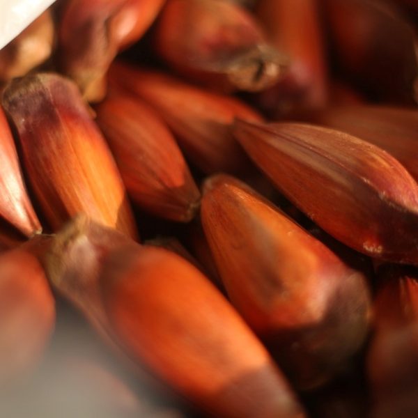 Confira receita quindim de pinhão para o Dia das Mães