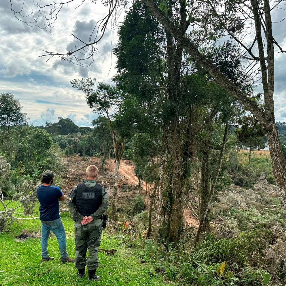  Polícia resgata 76 aves nativas e prende 6 pessoas, na Grande Curitiba 