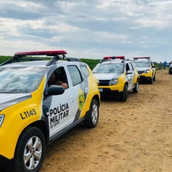 Cavalo é furtado e encontrado morto em chamas na Grande Curitiba