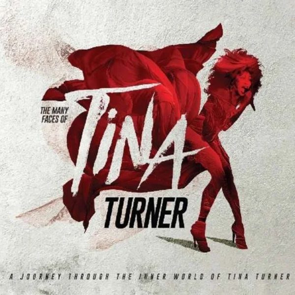 tina turner morte