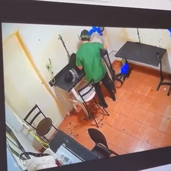 VÍDEO: Cadela morre após ser agredida por funcionária em pet shop