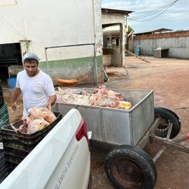 descarte de carne