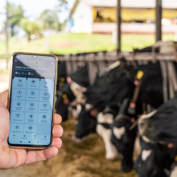 escolas agrícolas podem se transformar em cooperativas-escolas - votação alep