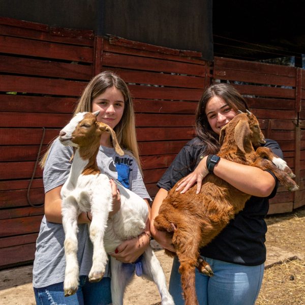 escolas agrícolas podem se transformar em cooperativas-escolas - votação alep