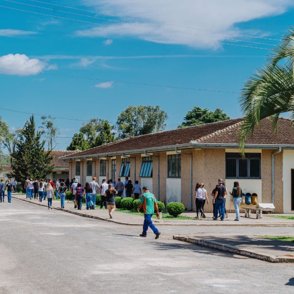 escolas agrícolas podem se transformar em cooperativas-escolas - votação alep