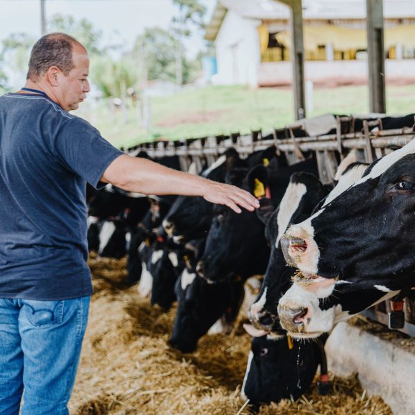 escolas agrícolas podem se transformar em cooperativas-escolas - votação alep