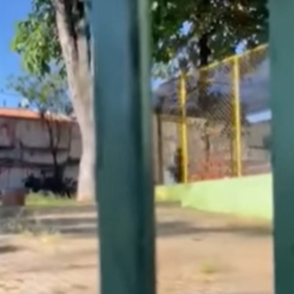 Criança de 2 anos é flagrada mantida de castigo em 'gaiola' de creche