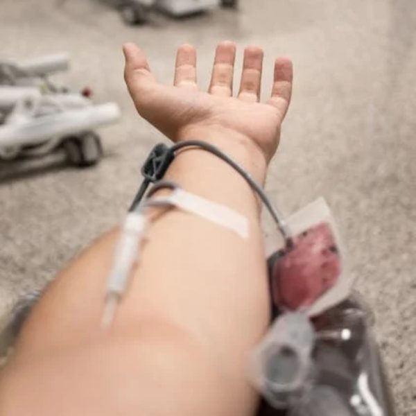 doar sangue