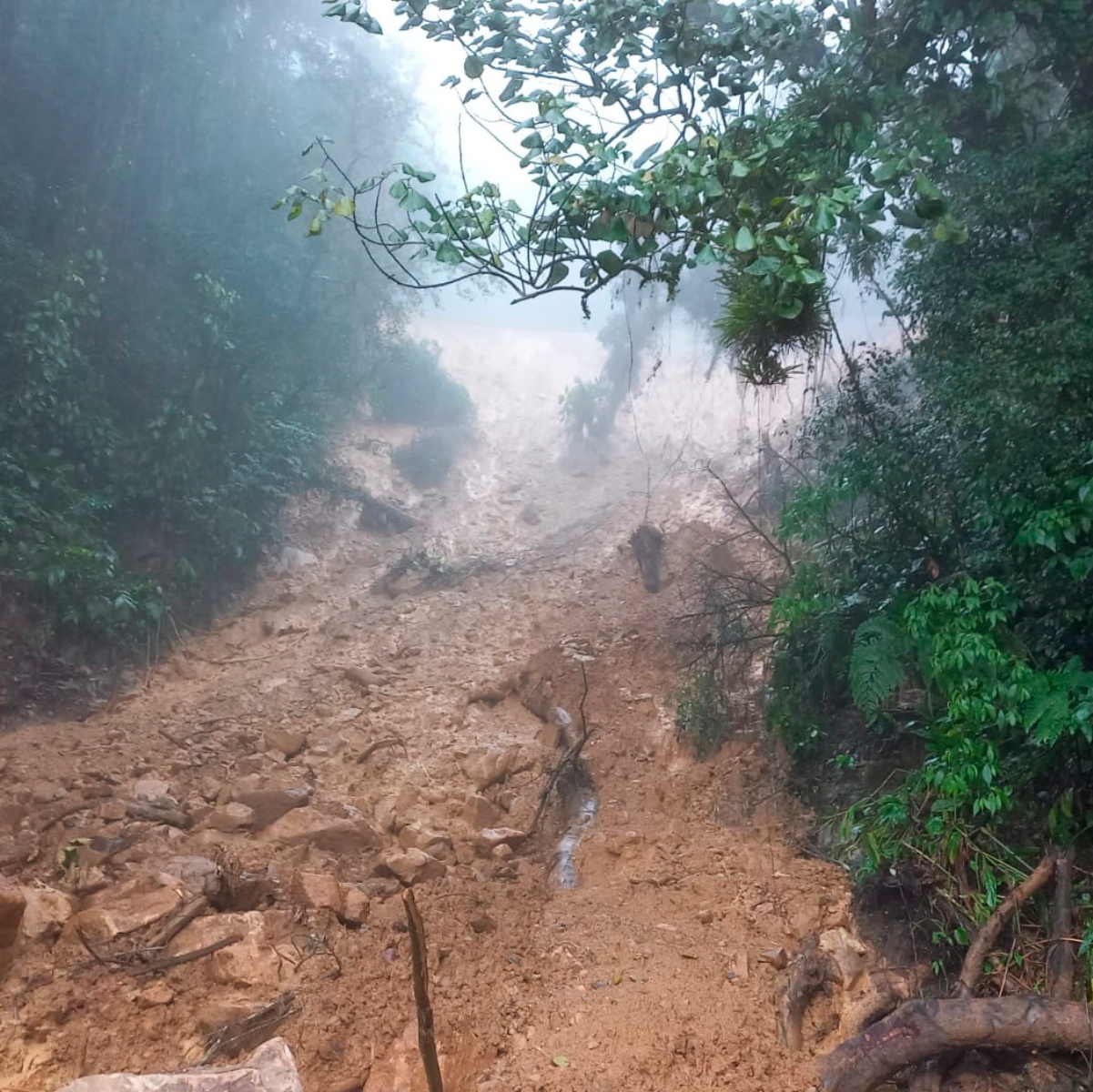  A Estrada da Graciosa (PR-410) será reaberta às 10h da manhã desta sexta-feira (16), conforme anunciou o Departamento de Estradas de Rodagem do Paraná (DER/PR). 