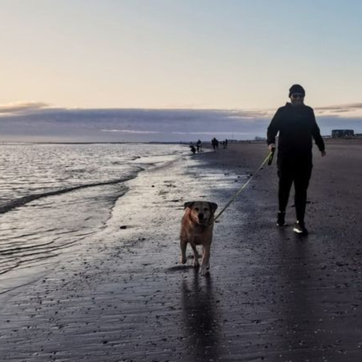  Homem e cachorra com o mesmo câncer aproveitam últimos dias juntos 