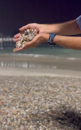  VÍDEO: Copacabana é invadida por um 'mar de conchas' e surpreende 