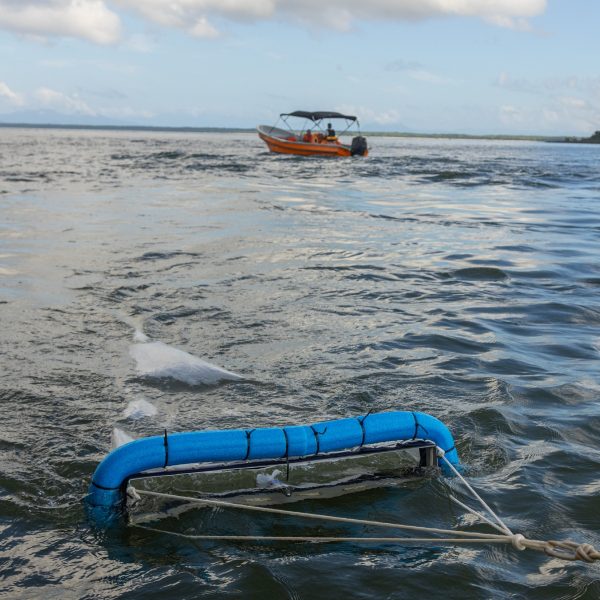 Microplásticos são encontrados no litoral do Paraná e preocupa cientistas
