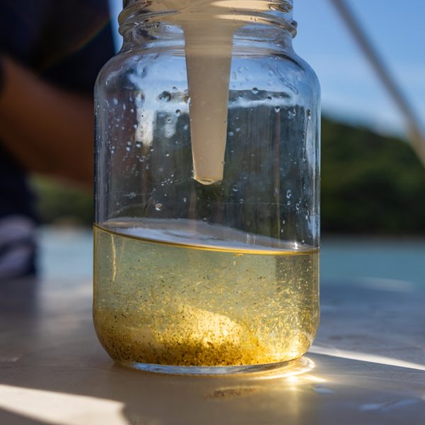 Microplásticos são encontrados no litoral do Paraná e preocupa cientistas