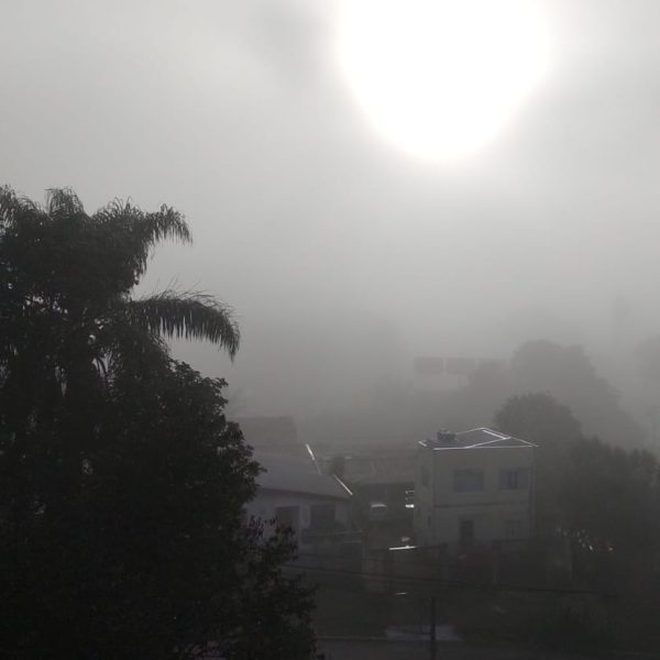 nevoeiro em curitiba - previsão do tempo
