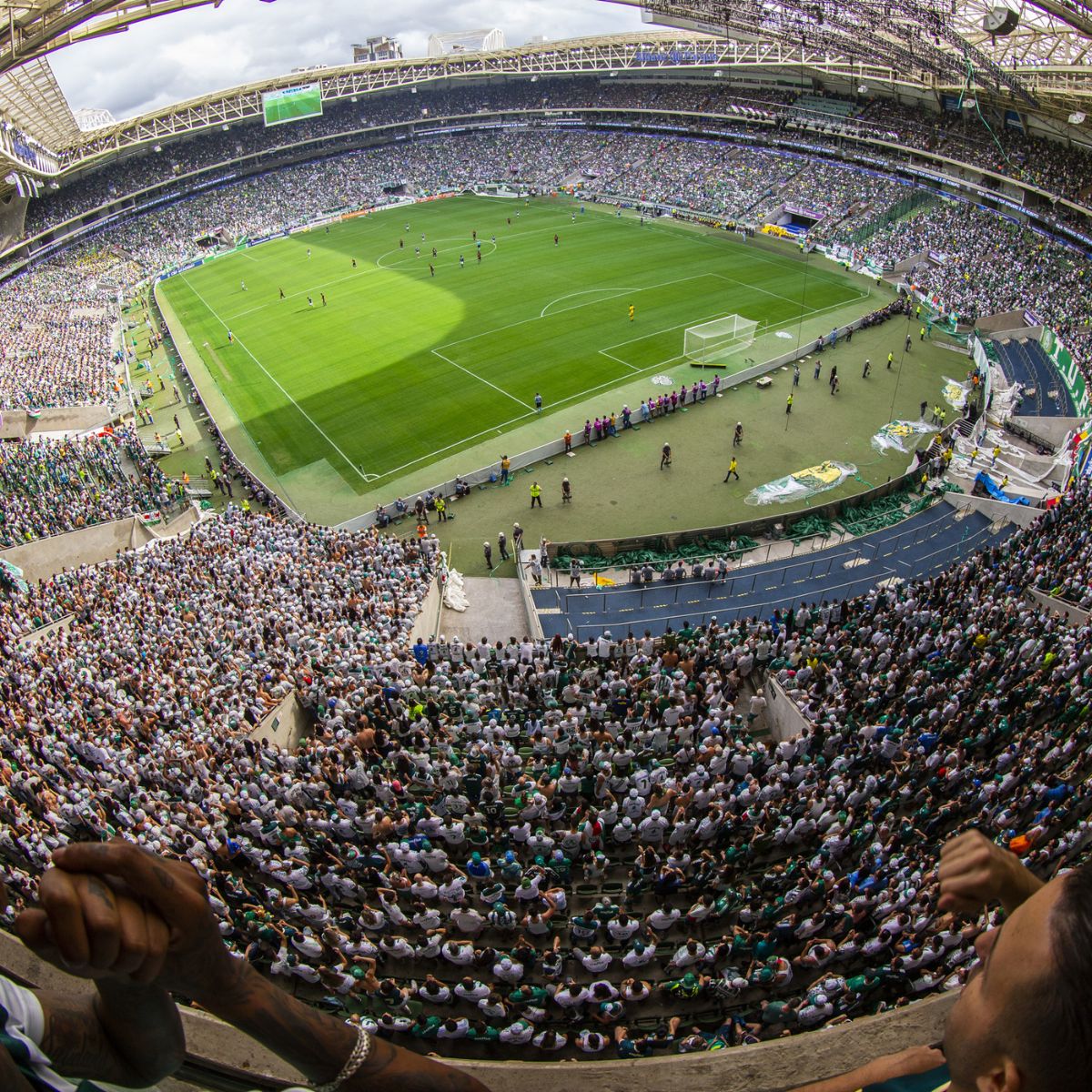 Coritiba x Palmeiras: prováveis escalações, onde assistir e arbitragem