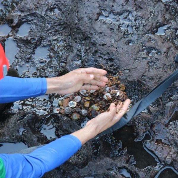 voluntarios-cataratas-moedas