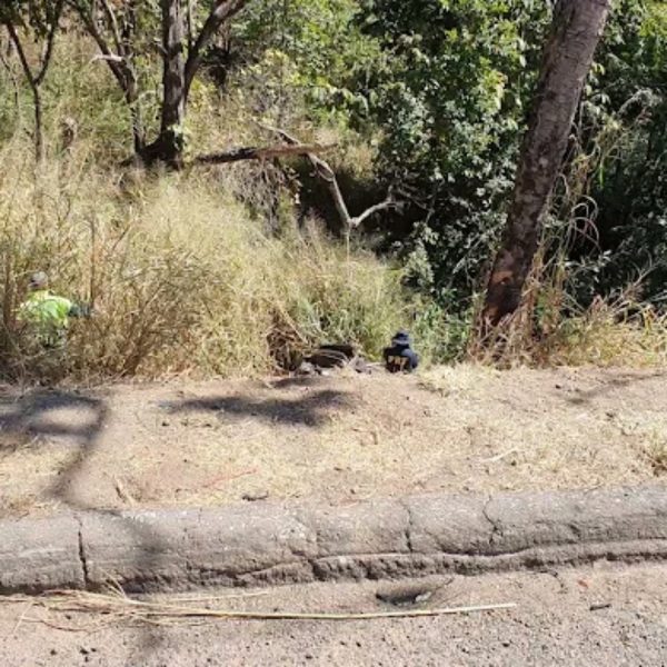 Uma menina de 2 anos chegou a ser socorrida em estado grave mas morreu no hospital.