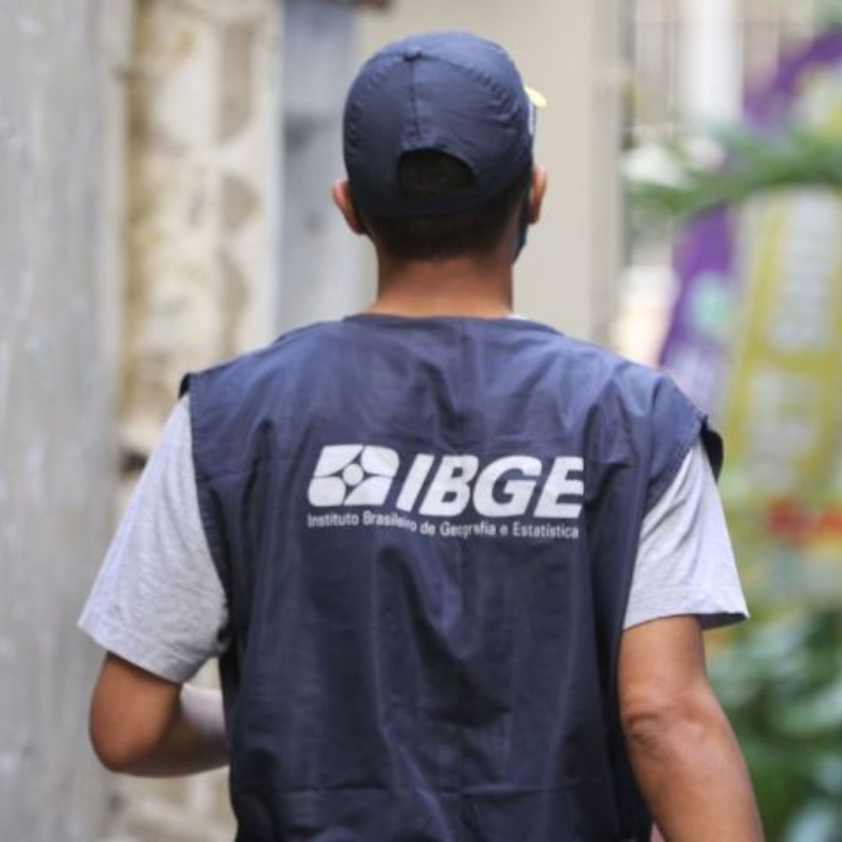  processo seletivo ibge 