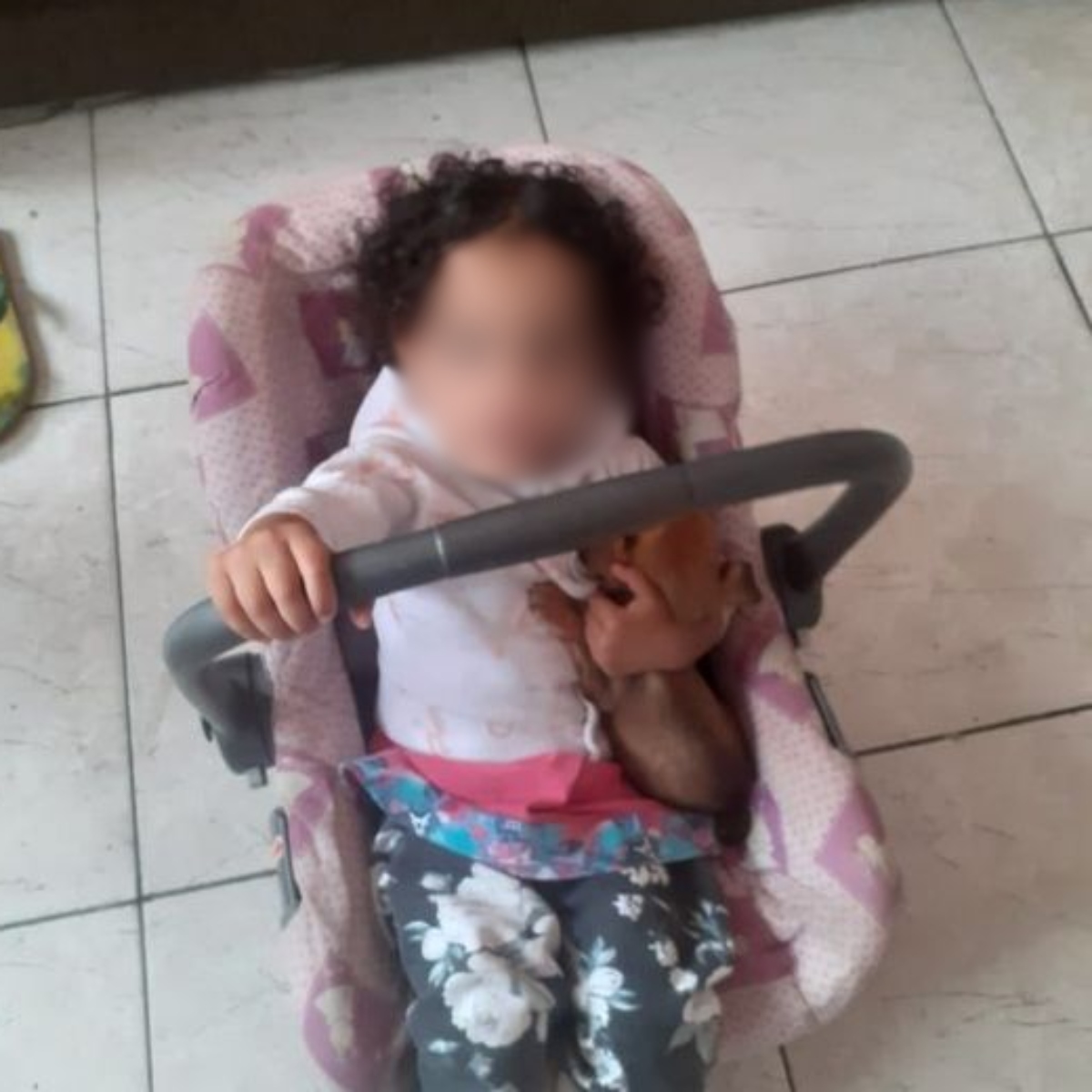  O sequestro da bebê Isabela da Silva Nascimento, de 1 ano e 11 meses, na última sexta-feira (30), em São Paulo, teria sido planejado por uma mulher de prenome Sandra, que se aproximou da mãe da vítima para tentar ficar com a bebê, de acordo com a Polícia Civil. 